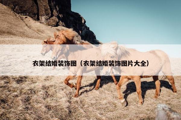 衣架结婚装饰图（衣架结婚装饰图片大全）