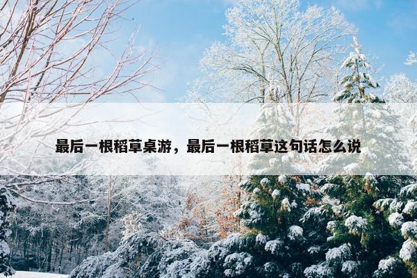最后一根稻草桌游，最后一根稻草这句话怎么说