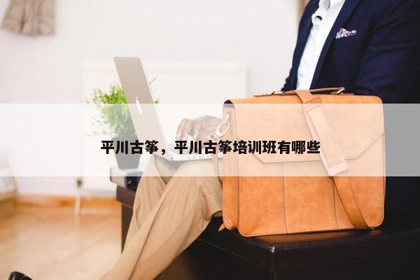 平川古筝，平川古筝培训班有哪些