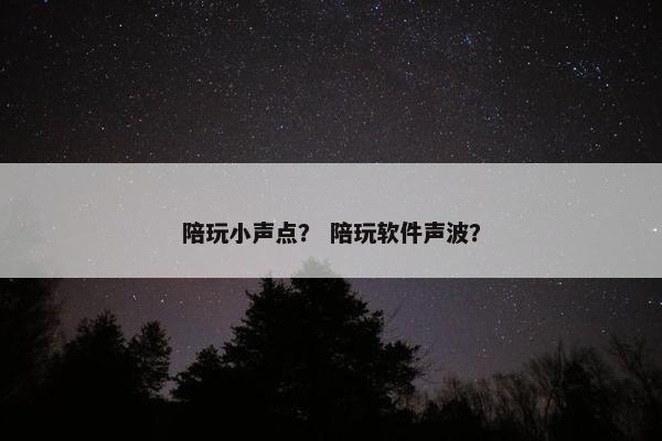 陪玩小声点？ 陪玩软件声波？