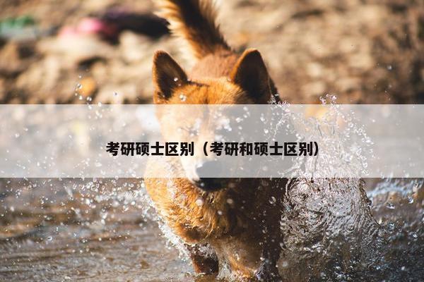 考研硕士区别（考研和硕士区别）