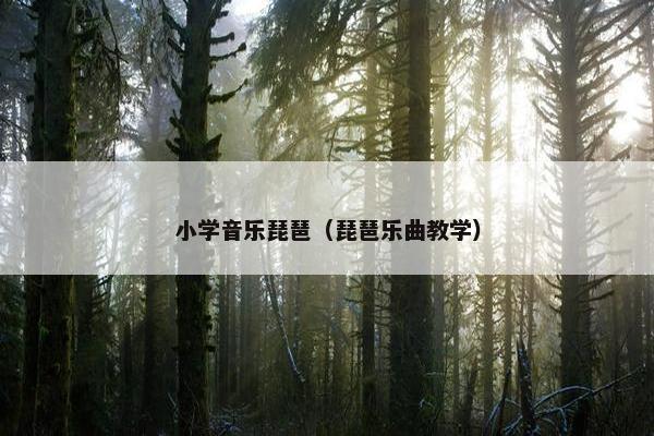 小学音乐琵琶（琵琶乐曲教学）