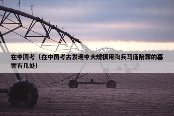 在中国考（在中国考古发现中大规模用陶兵马俑陪葬的墓葬有几处）