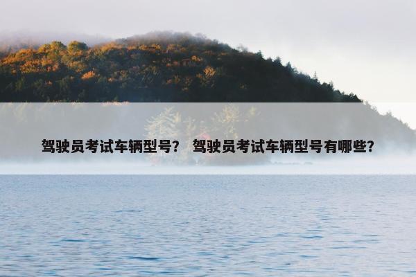 驾驶员考试车辆型号？ 驾驶员考试车辆型号有哪些？