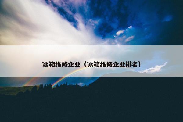 冰箱维修企业（冰箱维修企业排名）