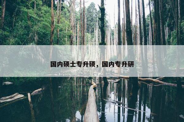 国内硕士专升硕，国内专升研