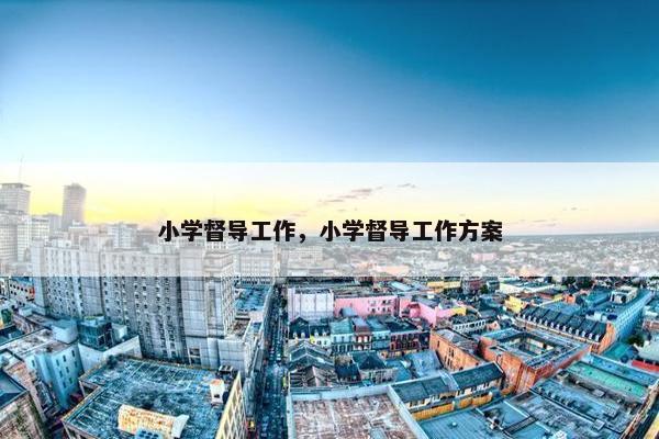 小学督导工作，小学督导工作方案