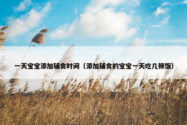 一天宝宝添加辅食时间（添加辅食的宝宝一天吃几顿饭）