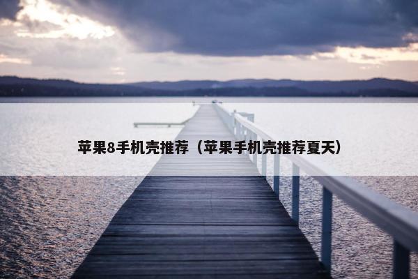 苹果8手机壳推荐（苹果手机壳推荐夏天）