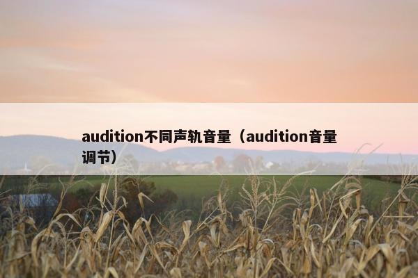 audition不同声轨音量（audition音量调节）