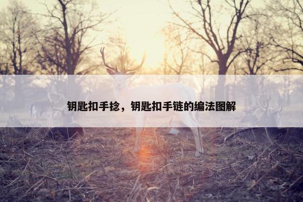 钥匙扣手捻，钥匙扣手链的编法图解