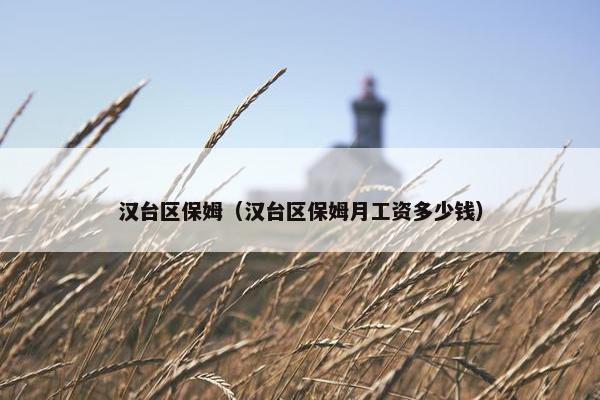 汉台区保姆（汉台区保姆月工资多少钱）