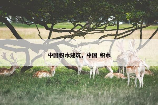 中国积木建筑，中国 积木