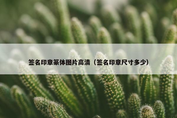 签名印章篆体图片高清（签名印章尺寸多少）