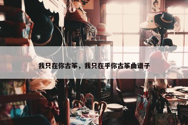 我只在你古筝，我只在乎你古筝曲谱子
