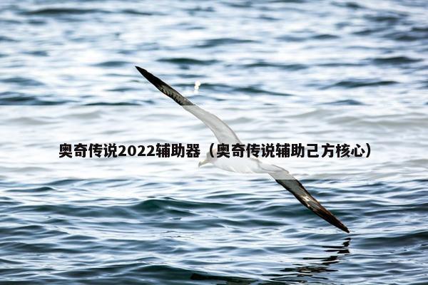 奥奇传说2022辅助器（奥奇传说辅助己方核心）