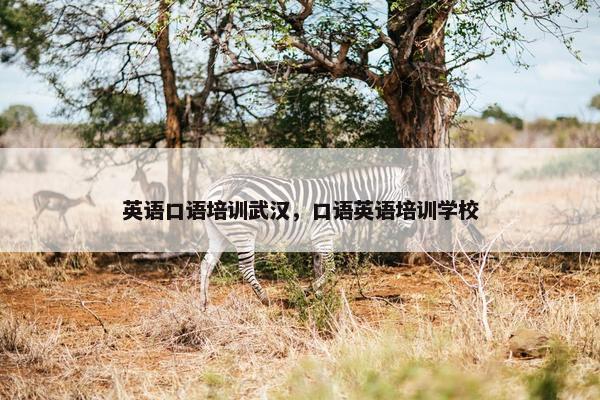 英语口语培训武汉，口语英语培训学校