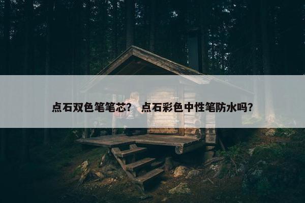 点石双色笔笔芯？ 点石彩色中性笔防水吗？