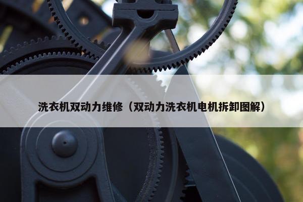 洗衣机双动力维修（双动力洗衣机电机拆卸图解）
