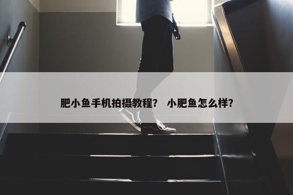 肥小鱼手机拍摄教程？ 小肥鱼怎么样？