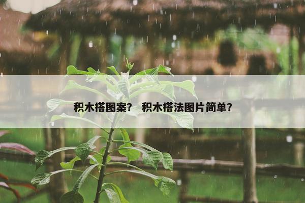 积木搭图案？ 积木搭法图片简单？