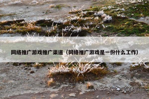 网络推广游戏推广渠道（网络推广游戏是一份什么工作）