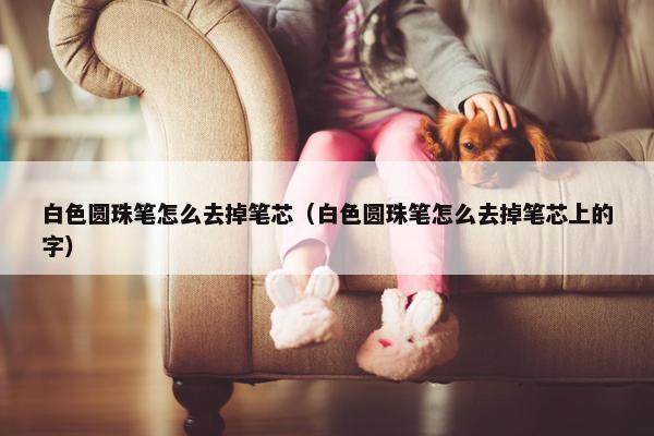 白色圆珠笔怎么去掉笔芯（白色圆珠笔怎么去掉笔芯上的字）