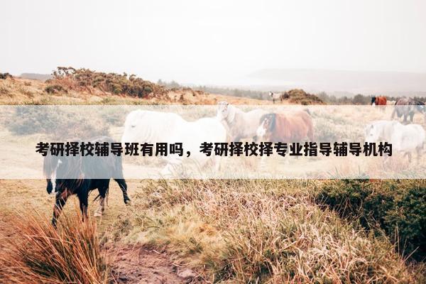 考研择校辅导班有用吗，考研择校择专业指导辅导机构