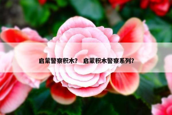 启蒙警察积木？ 启蒙积木警察系列？