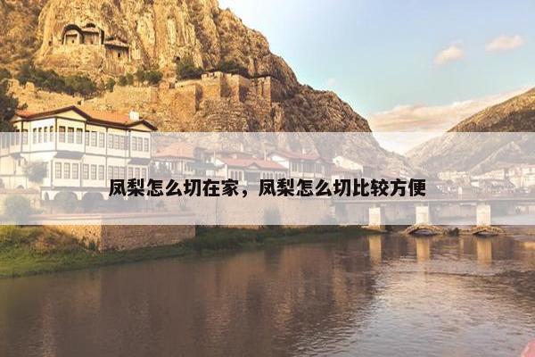 凤梨怎么切在家，凤梨怎么切比较方便