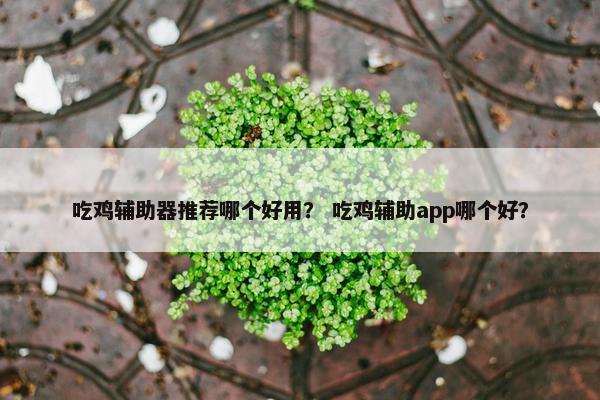 吃鸡辅助器推荐哪个好用？ 吃鸡辅助app哪个好？