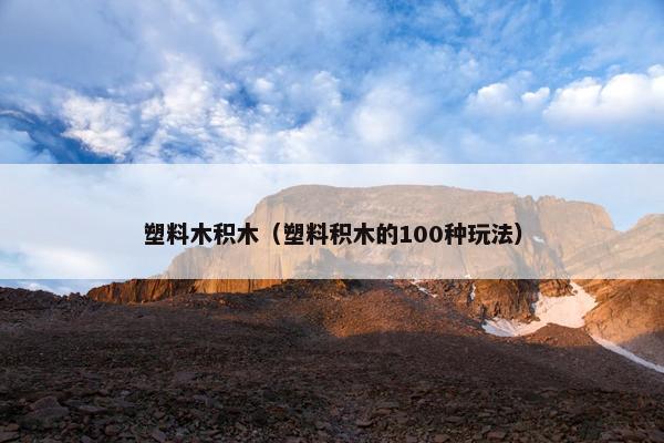 塑料木积木（塑料积木的100种玩法）