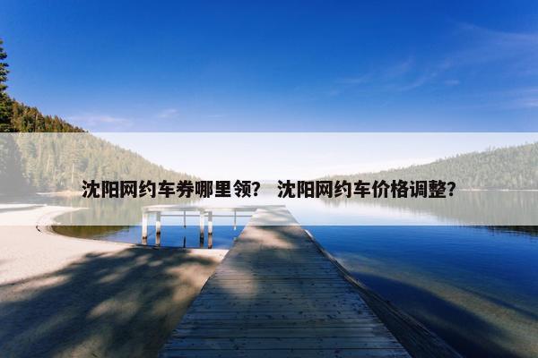 沈阳网约车券哪里领？ 沈阳网约车价格调整？