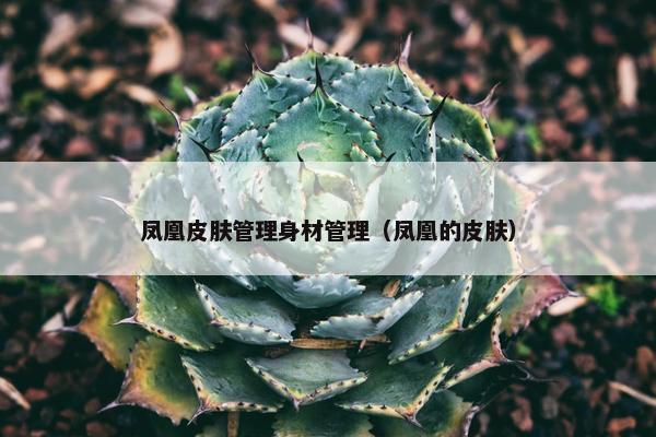凤凰皮肤管理身材管理（凤凰的皮肤）