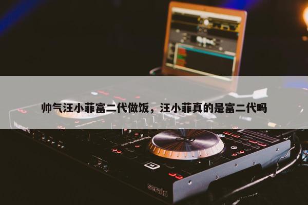 帅气汪小菲富二代做饭，汪小菲真的是富二代吗