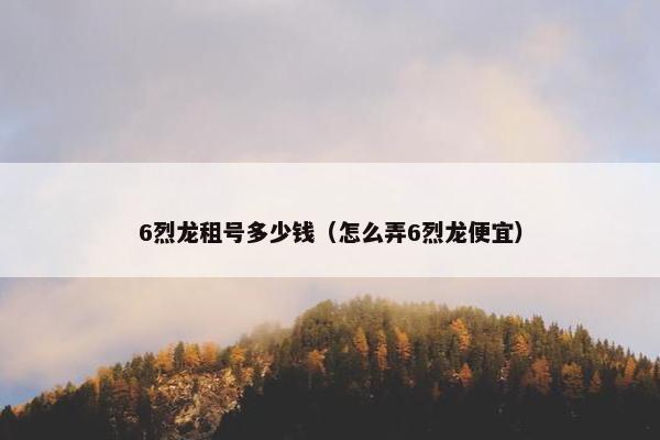 6烈龙租号多少钱（怎么弄6烈龙便宜）