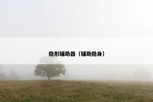 隐形辅助器（辅助隐身）