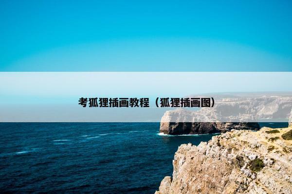 考狐狸插画教程（狐狸插画图）