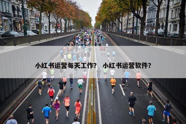 小红书运营每天工作？ 小红书运营软件？