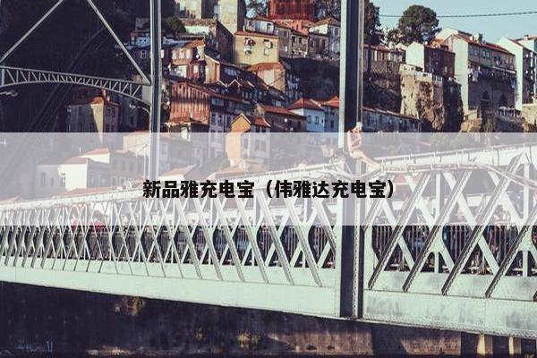 新品雅充电宝（伟雅达充电宝）