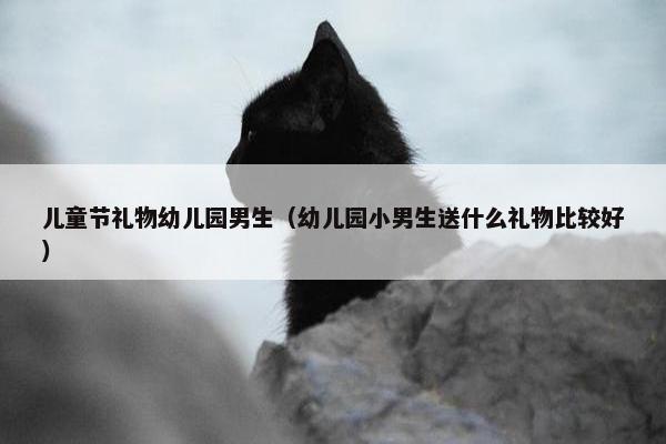 儿童节礼物幼儿园男生（幼儿园小男生送什么礼物比较好）