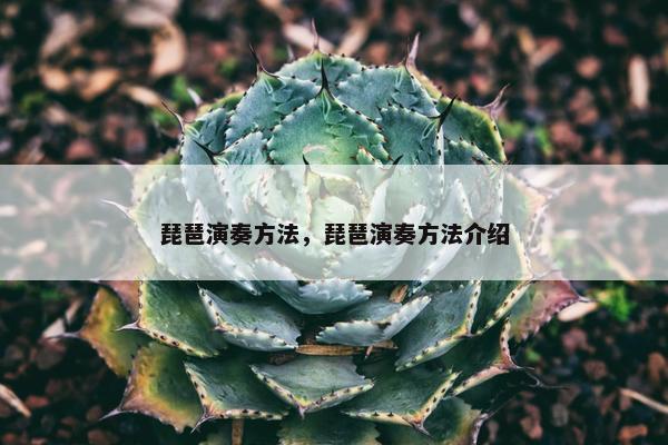 琵琶演奏方法，琵琶演奏方法介绍