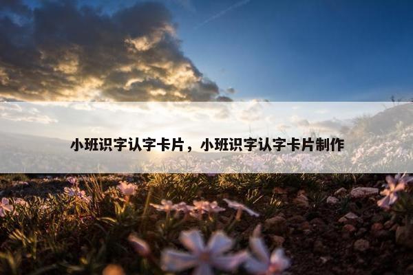 小班识字认字卡片，小班识字认字卡片制作