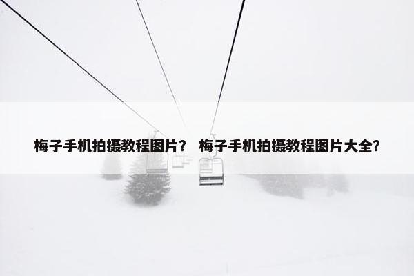 梅子手机拍摄教程图片？ 梅子手机拍摄教程图片大全？