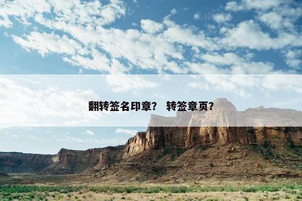翻转签名印章？ 转签章页？