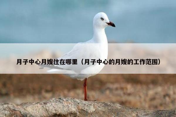 月子中心月嫂住在哪里（月子中心的月嫂的工作范围）
