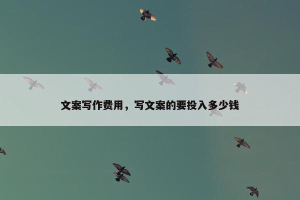 文案写作费用，写文案的要投入多少钱
