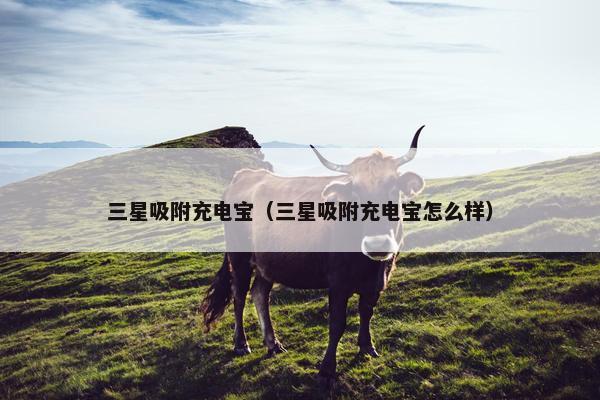 三星吸附充电宝（三星吸附充电宝怎么样）