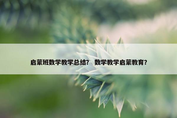 启蒙班数学教学总结？ 数学教学启蒙教育？