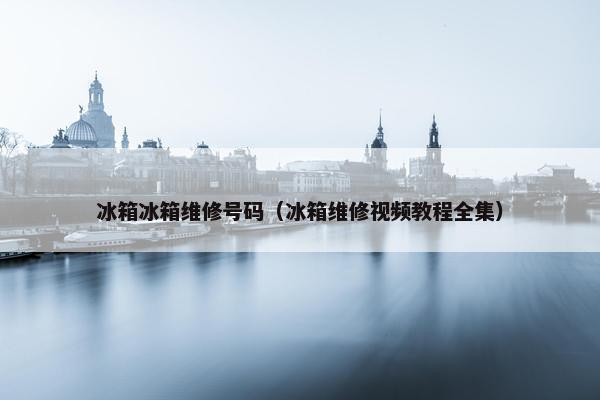 冰箱冰箱维修号码（冰箱维修视频教程全集）
